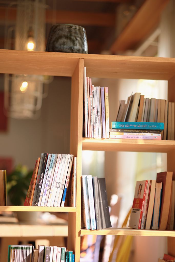 Wooden bookshelf with assorted books in a sunlit modern library